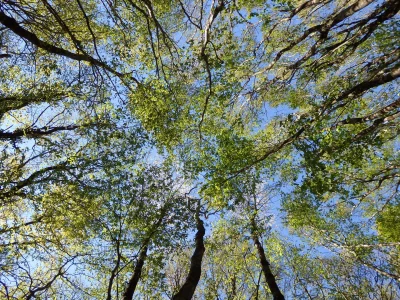Journee-biodiversite-8211-31-05-2025-8211-Jouhet_3483992