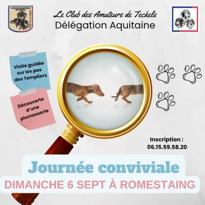 Journee-conviviale-8211-06-09-2026-8211-Romestaing_3748043
