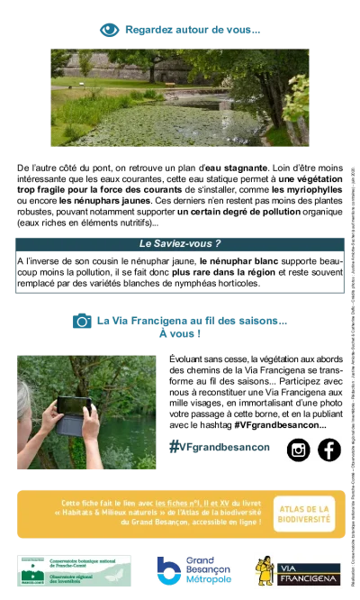 Journee-decouverte-au-rythme-de-la-faune-et-de-la-flore-8211-Besancon_2390897