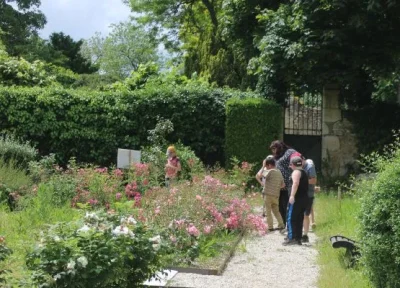 Journee-decouverte-quotLa-rose-dans-tous-ses-etatsquot-8211-06-06-2026-8211-Beaulieu-sur-Loire_3464394