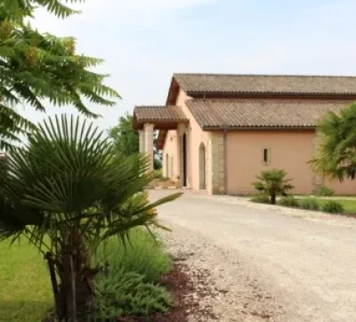 Journee-initiation-vendanges-au-Chateau-Petit-Boyer-en-Blaye-Cotes-de-Bordeaux-8211-06-09-2025-8211-Blaye_3020378