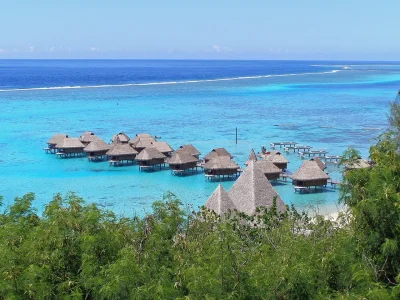 Journee-polynesienne-8211-11-09-2025-8211-Blaye_3168704