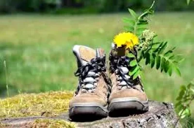 Journee-randonnee-quotLa-Strenqueloisequot-8211-26-10-2025-8211-Strenquels_3201483