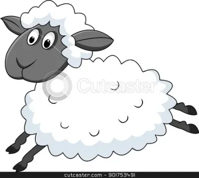 Journee-valorisation-de-la-laine-doublaude-8211-22-06-2025-8211-Echourgnac_2455665