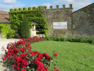 Journee-vendanges-au-chateau-Monconseil-Gazin-en-Blaye-Cotes-de-Bordeaux-8211-19-09-2026-8211-Plassac_3483478