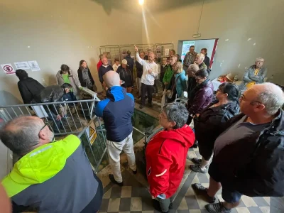 Journees-Europeennes-du-Patrimoine-2025-8211-20-09-2025-8211-Briare_2625414