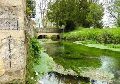 Journees-Europeennes-du-Patrimoine-parcours-commente-du-village-8211-Creysse_3003545