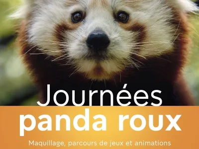 Journees-Panda-Roux-8211-15-08-2026-8211-Obterre_3766761