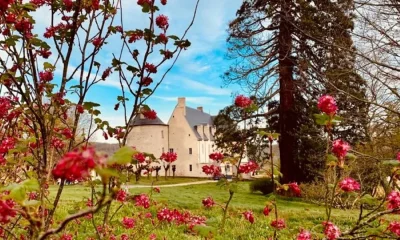 Journees-du-Patrimoine-8211-Chateau-du-Chambon-8211-20-09-2025-8211-Bersac-sur-Rivalier_2951933