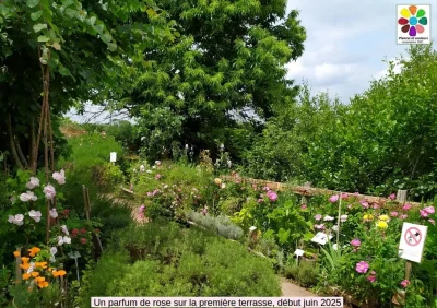 Journees-du-Patrimoine-accueil-et-visite-au-jardin-et-a-l039atelier-8211-20-09-2025-8211-Benevent-l039Abbaye_2980252