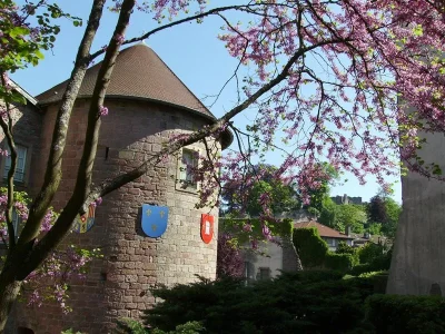 Journees-europeennes-du-patrimoine-8211-musee-du-chapitre-8211-19-09-2026-8211-Epinal_3801554