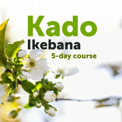 Kado-Ikebana-8211-stage-au-centre-Shambhala-8211-27-02-2026-8211-Saint-Yrieix-sous-Aixe_3405401