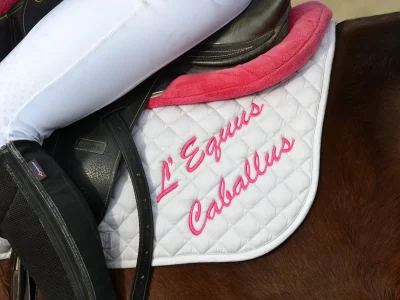 L039EQUUS-CABALLUS-8211-Leucate_3832295