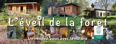 L039Eveil-de-la-Foret-8211-gite-Nature-8211-Sarran_1857905