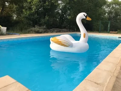 L039Hippocampe-8211-Labastide-Marnhac_2942116