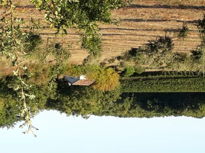 L039Oustalet-8211-Carnac-Rouffiac_2445061