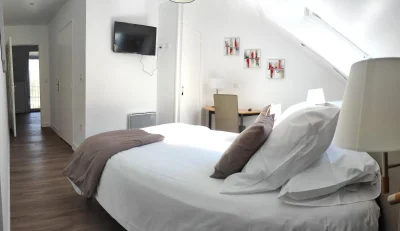 L039appart039Hotel-Le-Haut-Berry-22-8211-Les-Aix-d039Angillon_1730373