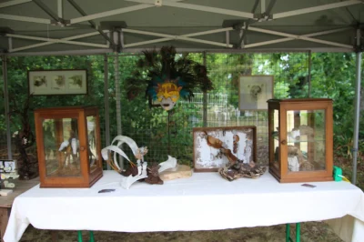 L039art-au-jardin-8211-04-07-2026-8211-Marmagne_2881232