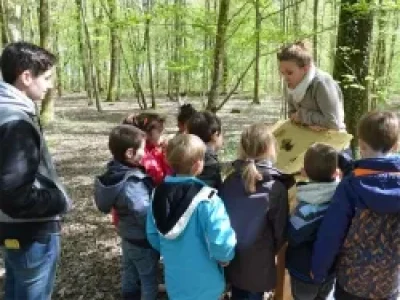 L039education-a-la-nature-au-Domaine-de-Chenonville-8211-La-Bourdiniere-Saint-Loup_1508873