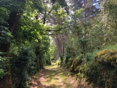 L039enfer-de-Roqueprins-8211-Trail-n°12-8211-La-Canourgue_3750945