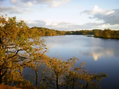 L039etang-de-Murat-observatoire-ornithologique_600630
