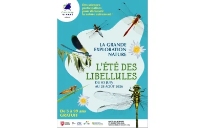 L039ete-des-libellules-8211-01-06-2026-8211-Pau_3781627