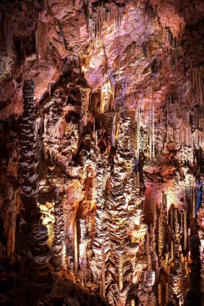 LA-CABANE-AU-FOND-DU-JARDIN-8211-Massegros-Causses-Gorges_3341430