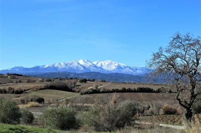 LA-CASA-DE-LA-FONT-8211-Llauro_2902306