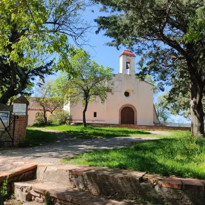 LA-CASA-DEL-POU-8211-Llauro_2861992