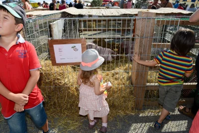 LA-FERME-A-CANET-8211-14-09-2025-8211-Canet-en-Roussillon_2934581