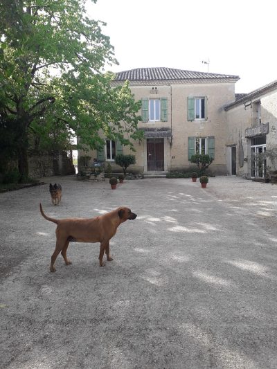 LA-FERME-DE-HUSTET-8211-GITE-IMAGINE_152267