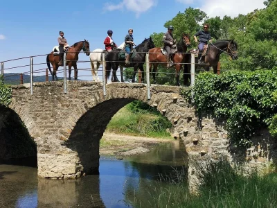 LA-FERME-EQUESTRE-DE-ROUFFIAC-8211-Rouffiac-des-Corbieres_3835805