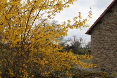 LA-MAISON-BARTHONNET_100199
