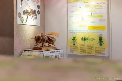 LA-MAISON-DE-L039ABEILLE-8211-Cassagnoles_2819995