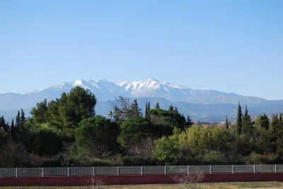 LA-PERDRIX-8211-Trouillas_3071314
