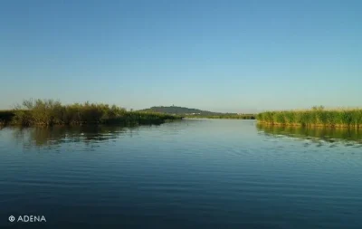 LA-RESERVE-NATURELLE-DU-BAGNAS-8211-A.D.E.N.A-8211-Agde_2391828