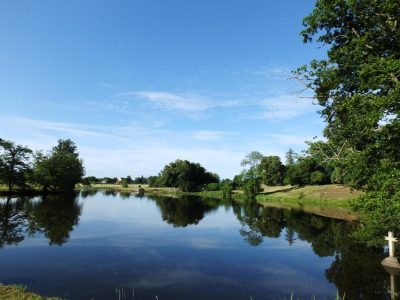 LA-SELLERIE_93656