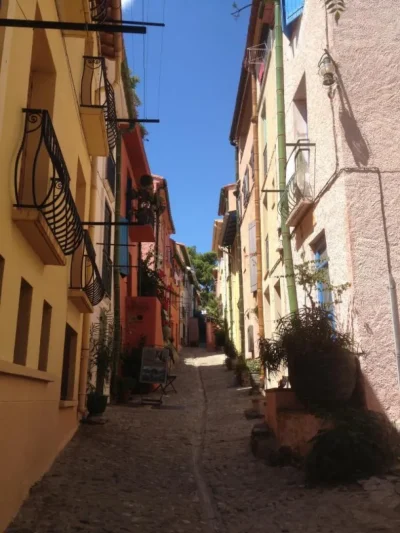 LA-TERRASSE-8211-Collioure_3111234