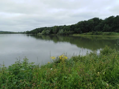 LAC-8211-Sainte-Foy-de-Peyrolieres_3523854