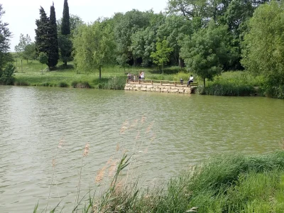 LAC-DE-FONTORBE-8211-PONTON-DE-PECHE-8211-Alzonne_3831099