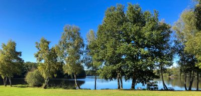 LACUSTRA-Chalets-tout-confort-5-places_91834