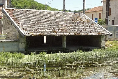 LAVOIR-DE-SAUCOURT-SUR-ROGNON-8211-Doulaincourt-Saucourt_3517999
