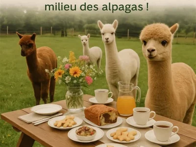 LAlpagouter-a-la-Ferme-Jean-des-Houx-8211-Sapois_3036726