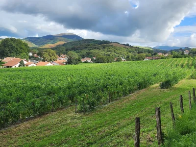 LAtelier-Decouverte-de-la-Ferme-Kultur-Piment-8211-16-09-2025-8211-Cambo-les-Bains_2024238