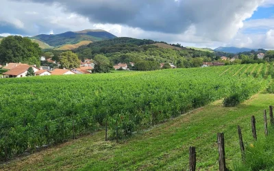 LAtelier-Decouverte-de-la-Ferme-Kultur-Piment-8211-18-11-2025-8211-Cambo-les-Bains_2981041