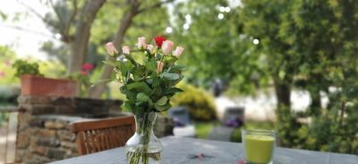 LE-CASOT_167287
