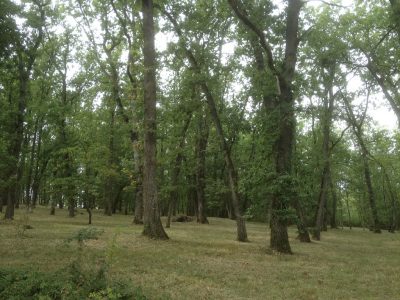 LE-CHALET-DU-ROUQUET_150775