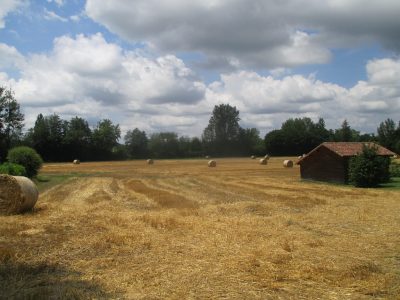 LE-CHEMIN-DES-COTEAUX_19454