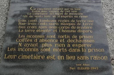 LE-CIMETIERE-DES-FOUS_569360