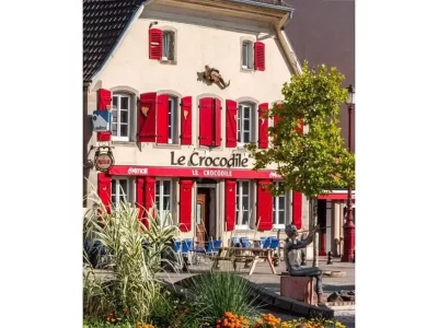LE-CROCODILE_261878